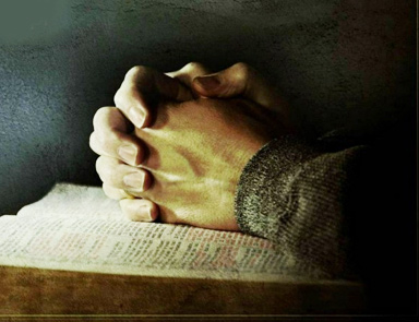 vahsikran specialist